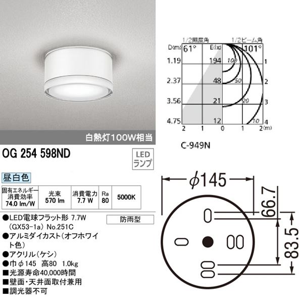 オーデリック ポーチライト # OG 254 598ND 昼白色 