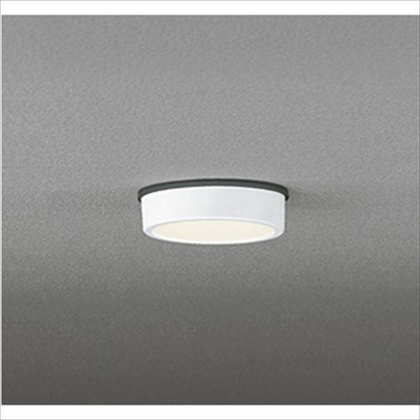 レビュー高評価商品 オーデリック 白熱灯 PLATE FLAT 軒下用シーリングダウンライト ネックレス・ペンダント
