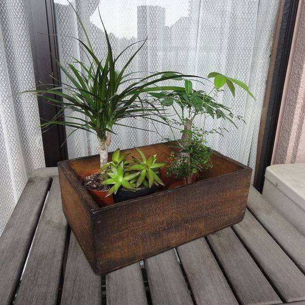 ヘルメス ウレタンウッド アンティークBOX 大 WB-L （DB） ダークブラウン ダークブラウン