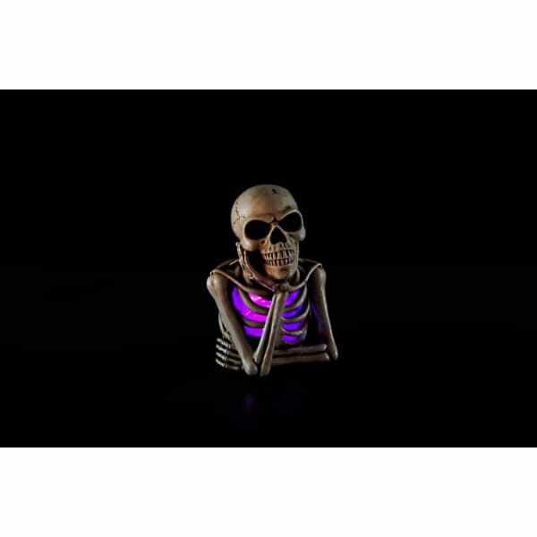 ハロウィン☆カボチャ&仲良しドクロ ハロウィン☆カボチャ&仲良しドクロ