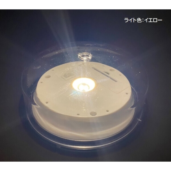 セトクラフト ソーラーフラワー CURVE S22-0532 