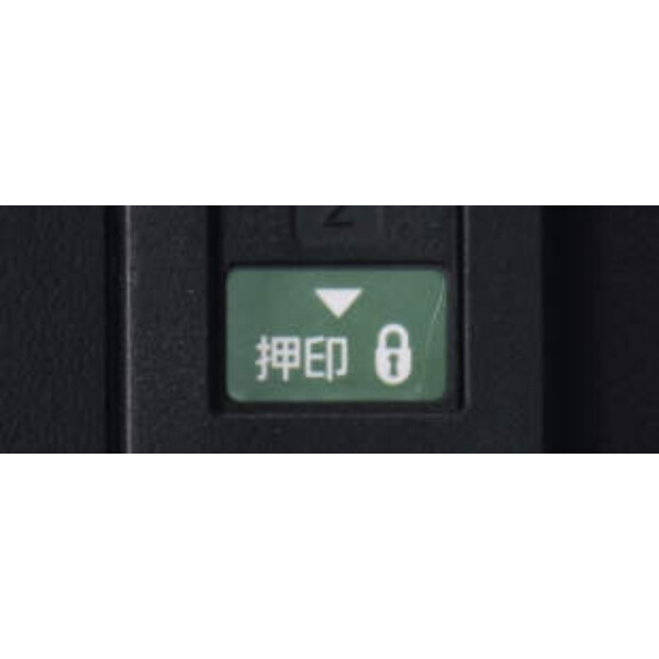 三協アルミ 宅配ボックス フレムス Light P型 ポール建てタイプ(ポスト付きタイプ) 埋め込み ミドル 