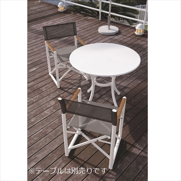 テラモト アルミディレクターチェア ＃MZ-600-401-0 