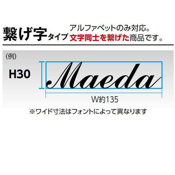 タカショー De-signシリーズ letter cube つなげ字H30（10文字以内） HDA-H005 『表札 サイン 戸建』 