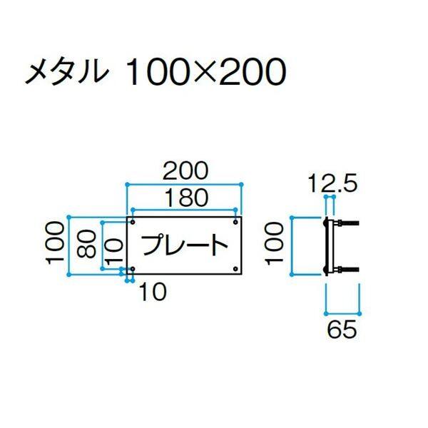 タカショー De-signシリーズ De-sign メタル メタル 100V DSH-04 ステンレスヘアライン 『表札 サイン 戸建』 