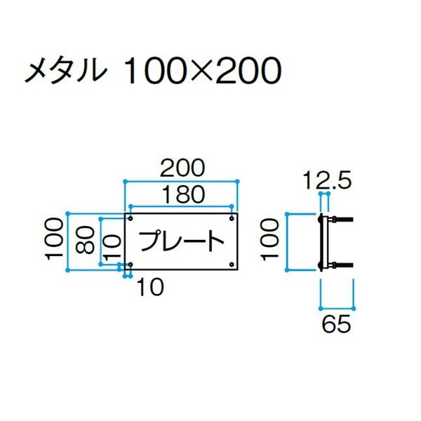 タカショー De-signシリーズ De-sign メタル メタル 12V DSK-05 ステンレス鏡面 『表札 サイン 戸建』 