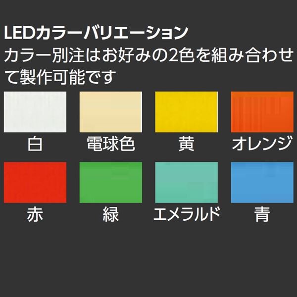 タカショー De-signシリーズ De-sign メタル メタル 100V DSK-04 ステンレス鏡面 『表札 サイン 戸建』 