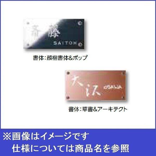 タカショー De-signシリーズ De-sign メタル メタル 100V DSK-04 ステンレス鏡面 『表札 サイン 戸
