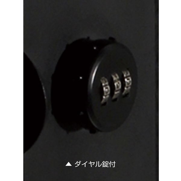 オンリーワン クーリエ ストリーク 右扉 MY1-1876N ホワイト 『郵便ポスト』 ホワイト