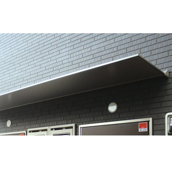 アルフィン庇 アルポリックひさし サイドレール式 D1500×L3100 AP60S 