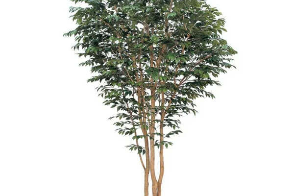 大型人工樹
