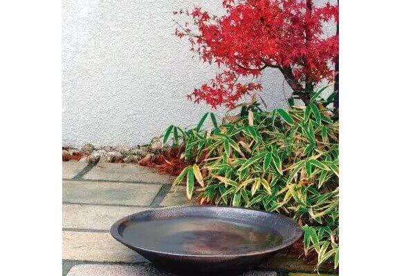 大型水鉢