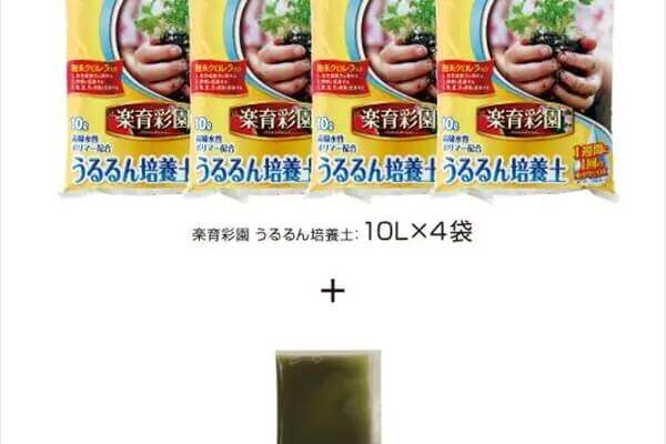 楽育彩園