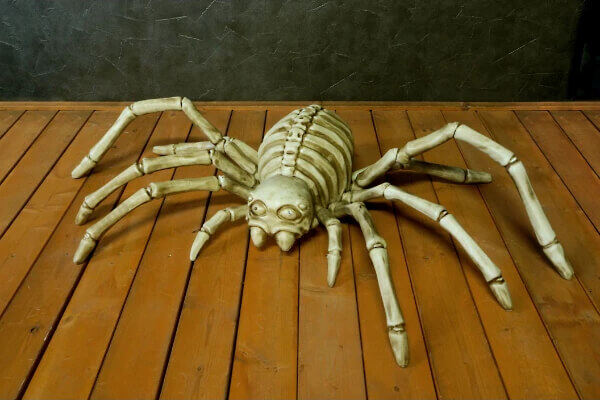 ムービングボーンスパイダー